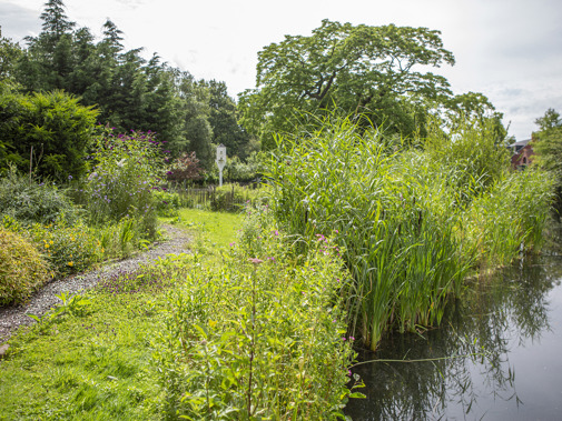 Dorrepaal (Foto: Floris Scheplitz)