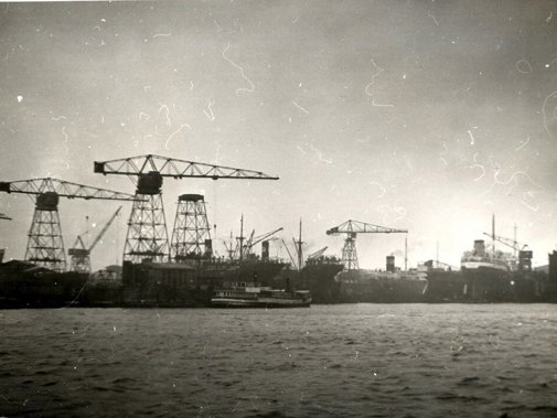 Havenkranen op het terrein van Wilton-Feijenoord. (Bron: Beeldbank Schiedam)