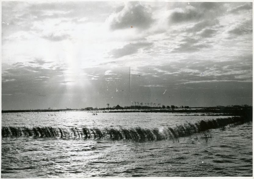 Al maanden voor de geallieerde invasie hadden de Duitsers besloten om het oostelijk deel van Goeree-Overflakkee onder water te zetten. Gebrek aan springstof deed ze (gelukkig) besluiten om niet de dijken op te blazen, maar alleen de sluizen te sluiten en de gemalen buiten werking te stellen. Daardoor kon het land al kort na de bevrijding weer worden drooggemalen. (Beeldbank WO2 NIOD)