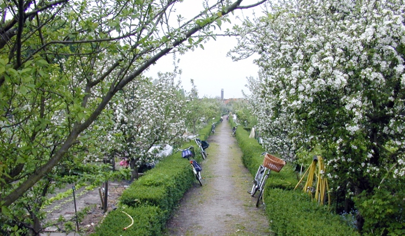 Arentsburgh in Voorburg, opgericht in 1940