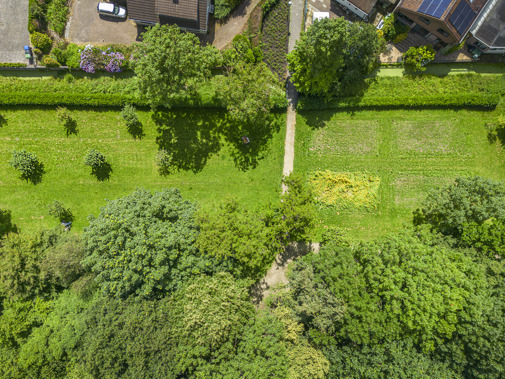 Tuin van Ter Wadding (Foto: Floris Scheplitz / Erfgoedhuis Zuid-Holland)