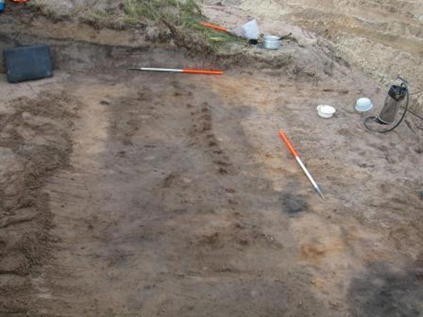 Rijen verroeste klinknagels in het duinzand van Solleveld geven aan waar in de zevende eeuw een bijzonder graf was aangelegd. Van stukken oude scheepswand had men een omgekeerde boot geconstrueerd, waaronder een man begraven lag. `Bootgraven’ zijn wel bekend uit Scandinavië, maar dit is het enige voorbeeld uit Nederland, waarbij bovendien geen echte boot maar een samengestelde is gebruikt. (Bron: Afdeling Archeologie, gemeente Den Haag) 