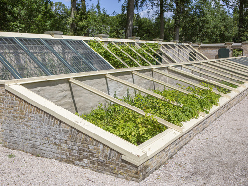 Moestuin (Foto: Floris Scheplitz / Erfgoedhuis Zuid-Holland)