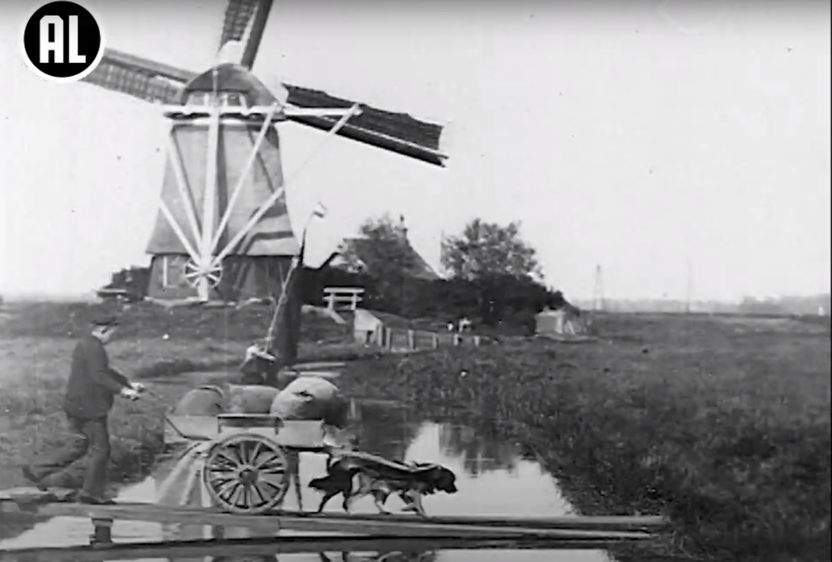 De hondenkar in actie, gefilmd in 1898. Regisseur: William Kennedy-Laurie Dickson | Productiebedrijf: Nederlandsche Biograaf- en Mutoscope Maatschappij i.s.m. British Mutoscope and Biograph Syndicate