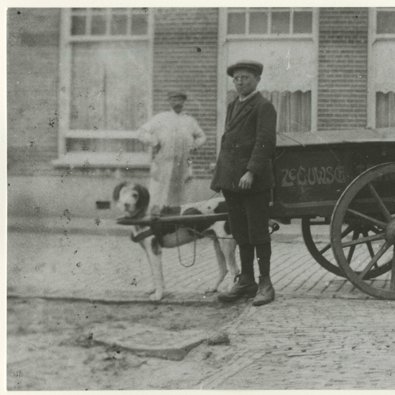 Hondenkar van H. van Dijk in de Arnold Spoelstraat (