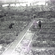 Heuvel’ in Scheveningen op een terrein bij de zwaaikom ca. 1910. Op de achtergrond de haven zelf. Foto: E. Visser van Weeren jr. (Bron: Collectie Haags Gemeentearchief)