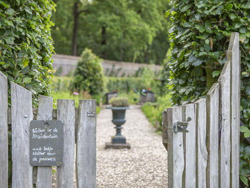 Duivenvoorde (Foto: Floris Scheplitz)