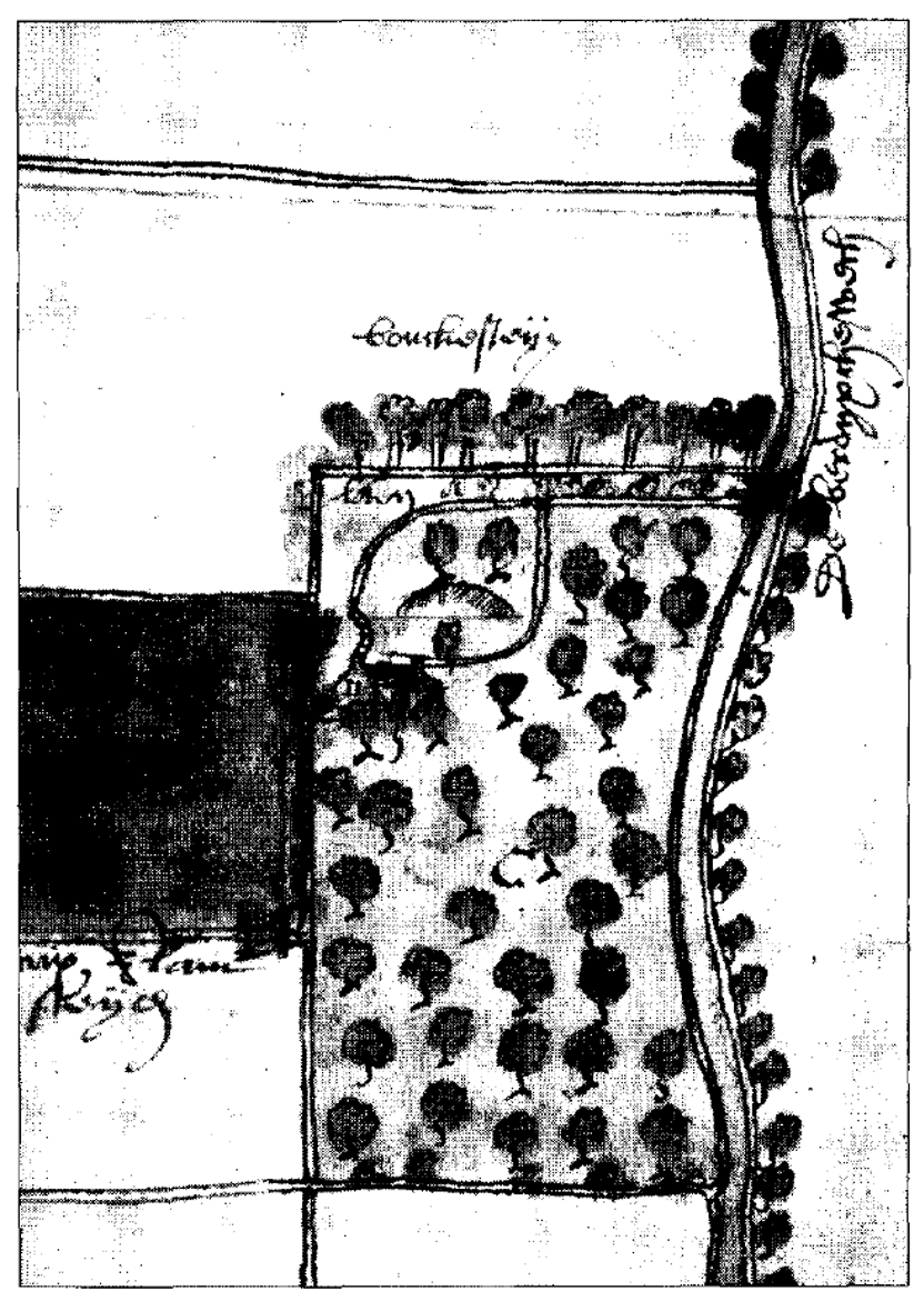 Het perceel aan de Burgerdijkseweg, de plek waar eerder het kasteel stond. Kaart uit 1556 van Jacob Hoensz, landmeter van Delfland. 