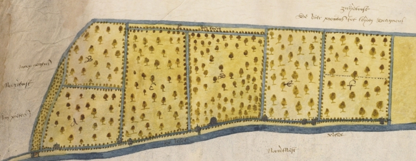 Kaart van tuinen en een bleekerij aan de Vliet, Sijmon Aerntsz, 1599. Het betreft gronden langs de huidige Schelpenkade in Leiden vanaf de 3 Octoberstraat tot de Valdezstraat (Bron: Collectie Regionaal Archief Leiden)