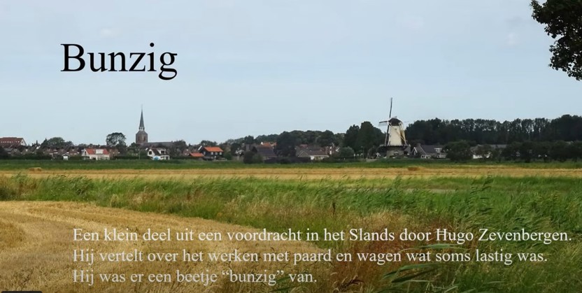 Bunzig
