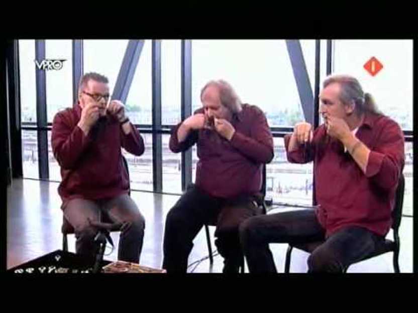 Mondharp Trio Aubergine - Vergeten Paars (Vrije Geluiden)