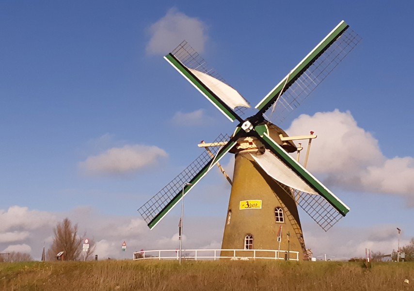 Molen De Lelie gezien, bekeken vanuit het westen