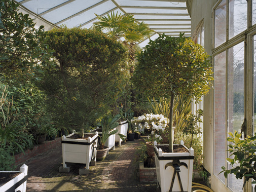 Interieur oranjerie met kuipplanten, Landgoed Mattemburgh, Woensdrecht