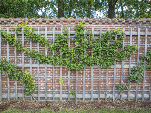 Duivenvoorde (Foto: Floris Scheplitz)