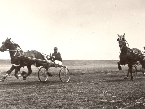 Vanaf de jaren twintig organiseert Nooit Gedacht de kortebaandraverij op gras, jarenlang op het land van Jan van den Bosch zoals hier in 1936. 
