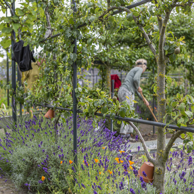 Ockenburgh (Foto: Floris Scheplitz / Erfgoedhuis Zuid-Holland)