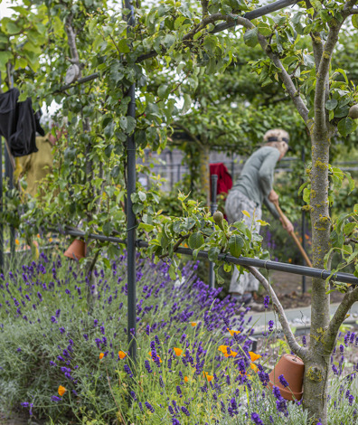 Ockenburgh (Foto: Floris Scheplitz / Erfgoedhuis Zuid-Holland)