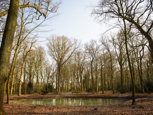 Het park van buitenplaats Beresteijn in Voorschoten